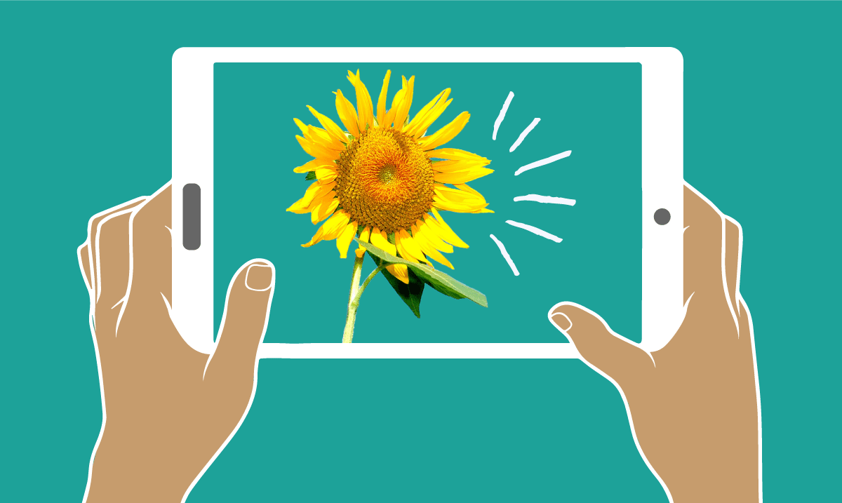 MtoM’s Top Initiatives for 2017: #1 User-Generated Content
