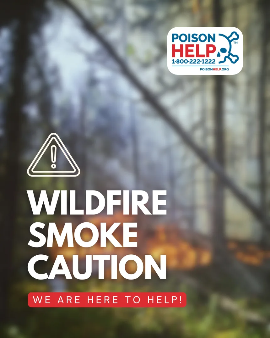 Poison Help social post: wildfire smoke caution